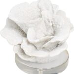 Deco 79 Polystone Coral Decorative Sculpture Small Textured Home Decor Statue with Clear Acrylic Base, Accent Figurine 6″ x 5″ x 4″, White