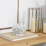 Deco 79 Polystone Coral Decorative Sculpture Small Textured Home Decor Statue with Clear Acrylic Base, Accent Figurine 6″ x 5″ x 4″, White
