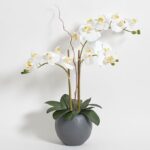CG Hunter, Faux White Orchid Plant, 25 in, Grey, Home Decor | Beautiful sculptural blooms that last forever; realistic faux flower display for home decor, entryway or dining table