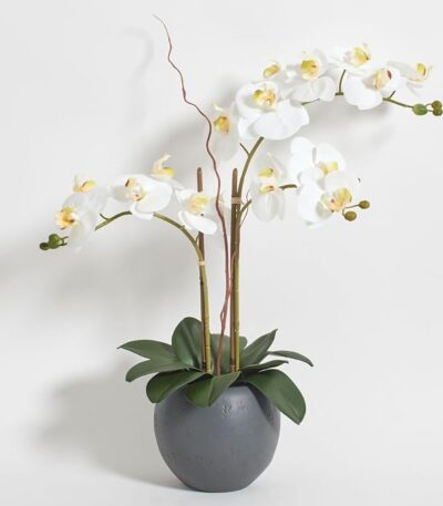CG Hunter, Faux White Orchid Plant, 25 in, Grey, Home Decor | Beautiful sculptural blooms that last forever; realistic faux flower display for home decor, entryway or dining table